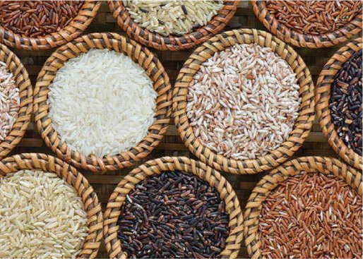 Olives and olive oil